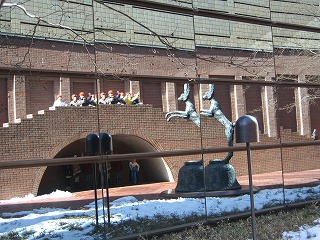 IMG_8938.jpg
