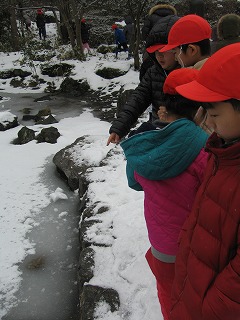 IMG_9031.jpg IMG_9031.jpg