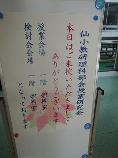 051.jpg 051.jpg