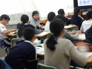 049.jpg 049.jpg