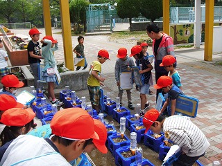 004.jpg 004.jpg