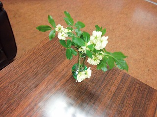 022.jpg 022.jpg