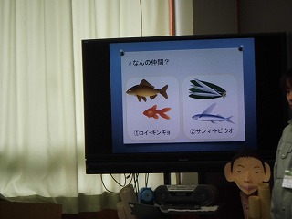 032.jpg