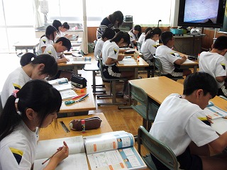 028.jpg 028.jpg