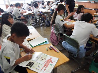 027.jpg 027.jpg