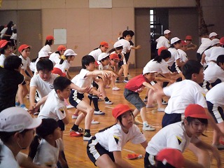 044.jpg 044.jpg
