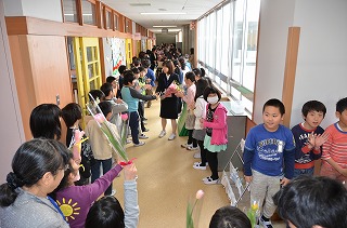 DSC_3380.jpg