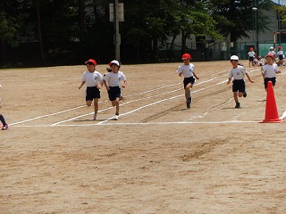 1-3.jpg