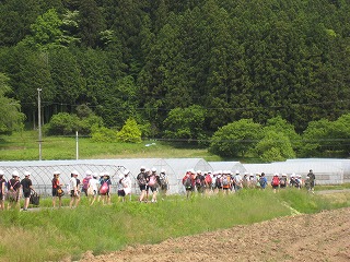 IMG_6550.jpg