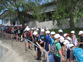 IMG_6553.jpg