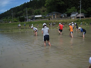 IMG_6566.jpg