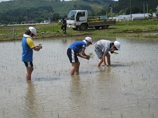 IMG_6568.jpg