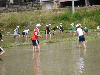IMG_6571.jpg