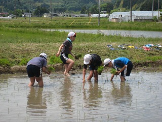 IMG_6582.jpg