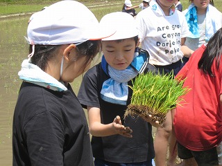 IMG_6605.jpg
