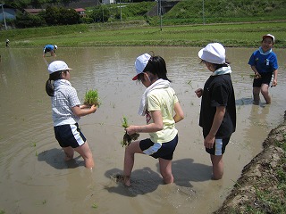 IMG_6613.jpg