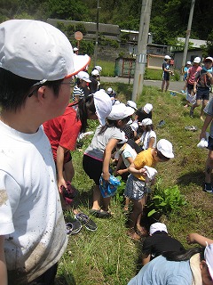 IMG_6626.jpg