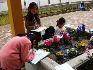 026.jpg 026.jpg