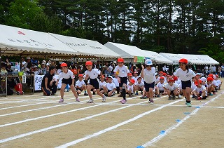 DSC_2902.jpg DSC_2902.jpg