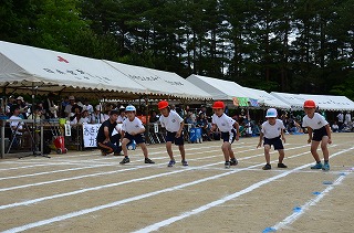 DSC_2955.jpg DSC_2955.jpg