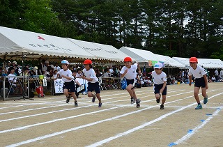 DSC_2958.jpg DSC_2958.jpg