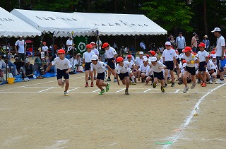 DSC_3112.jpg DSC_3112.jpg