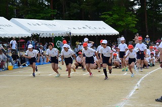 DSC_3144.jpg DSC_3144.jpg