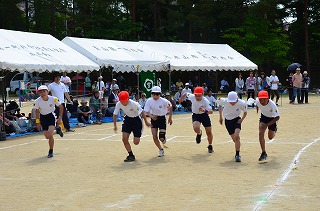 DSC_3233.jpg DSC_3233.jpg