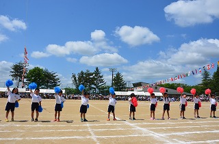DSC_3390.jpg DSC_3390.jpg