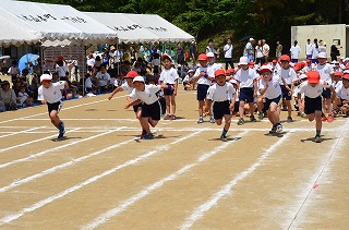 DSC_3445.jpg DSC_3445.jpg