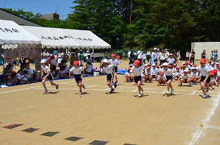 DSC_3496.jpg DSC_3496.jpg