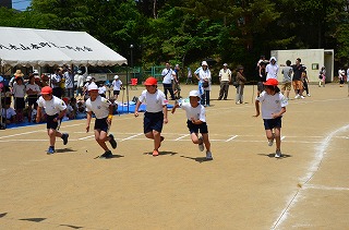 DSC_3569.jpg DSC_3569.jpg