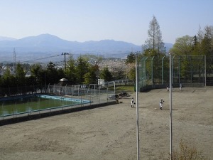 CIMG5573.jpg