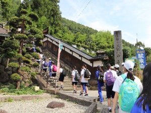 IMG_8377.JPG